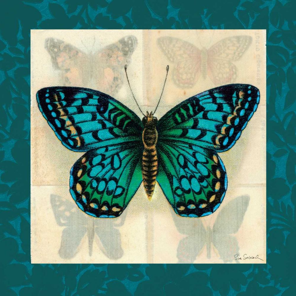 Silk Butterfly I art print by Sue Schlabach for $63.95 CAD