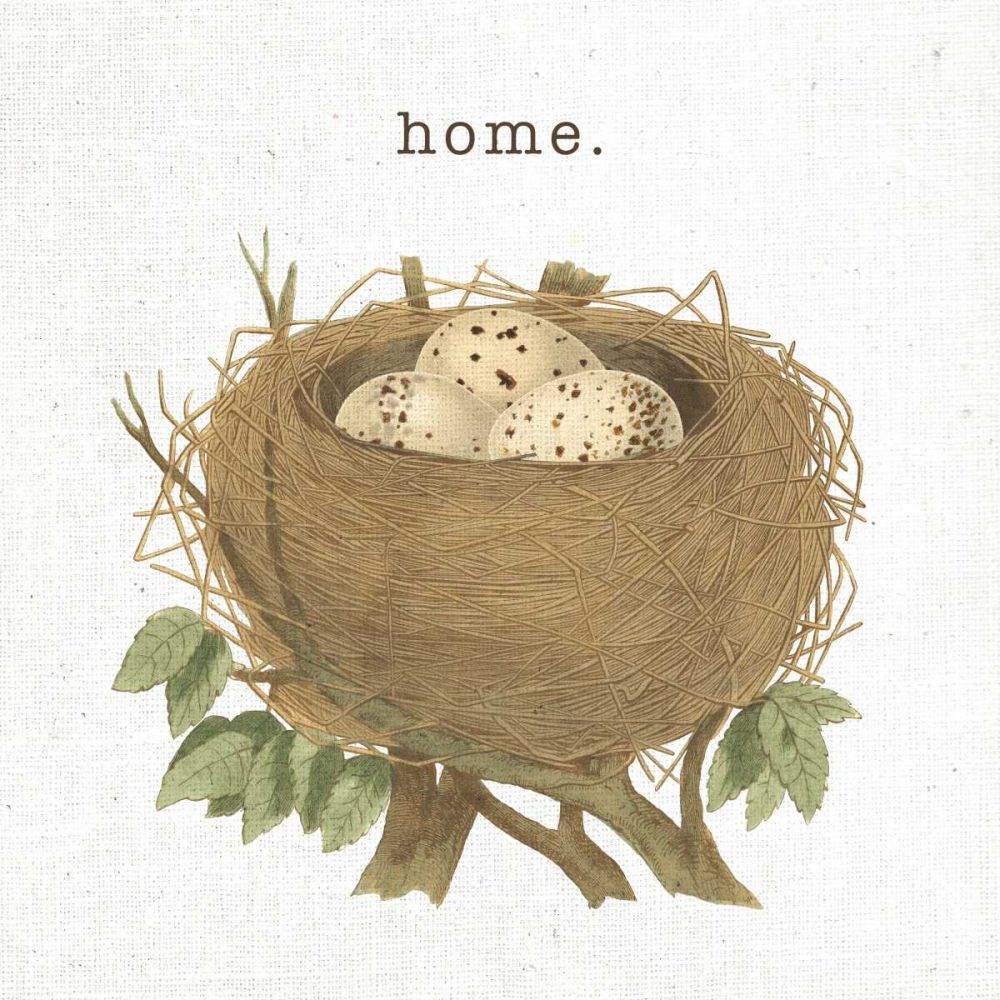 Spring Nest II Home art print by Moira Hershey for $57.95 CAD