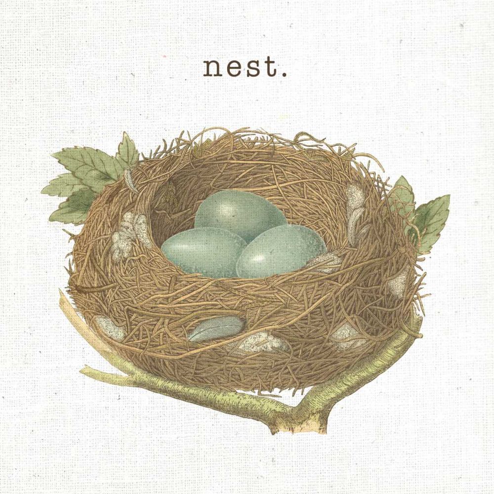 Spring Nest III Nest art print by Moira Hershey for $57.95 CAD