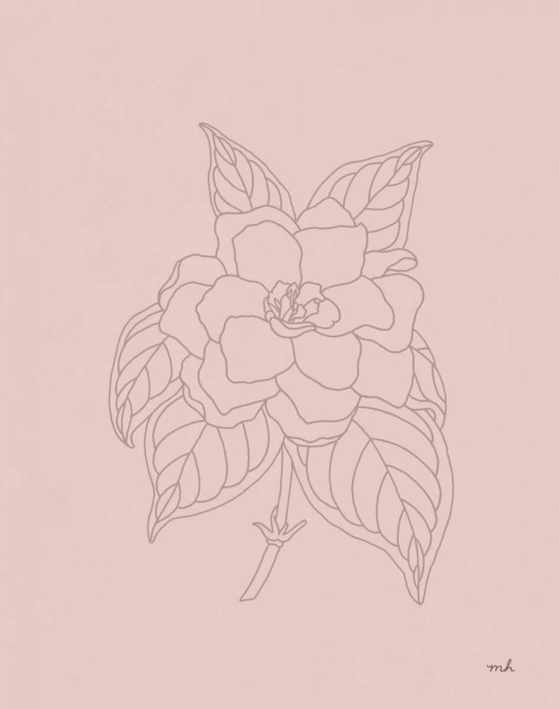 Gardenia Line Drawing Pink art print by Moira Hershey for $57.95 CAD