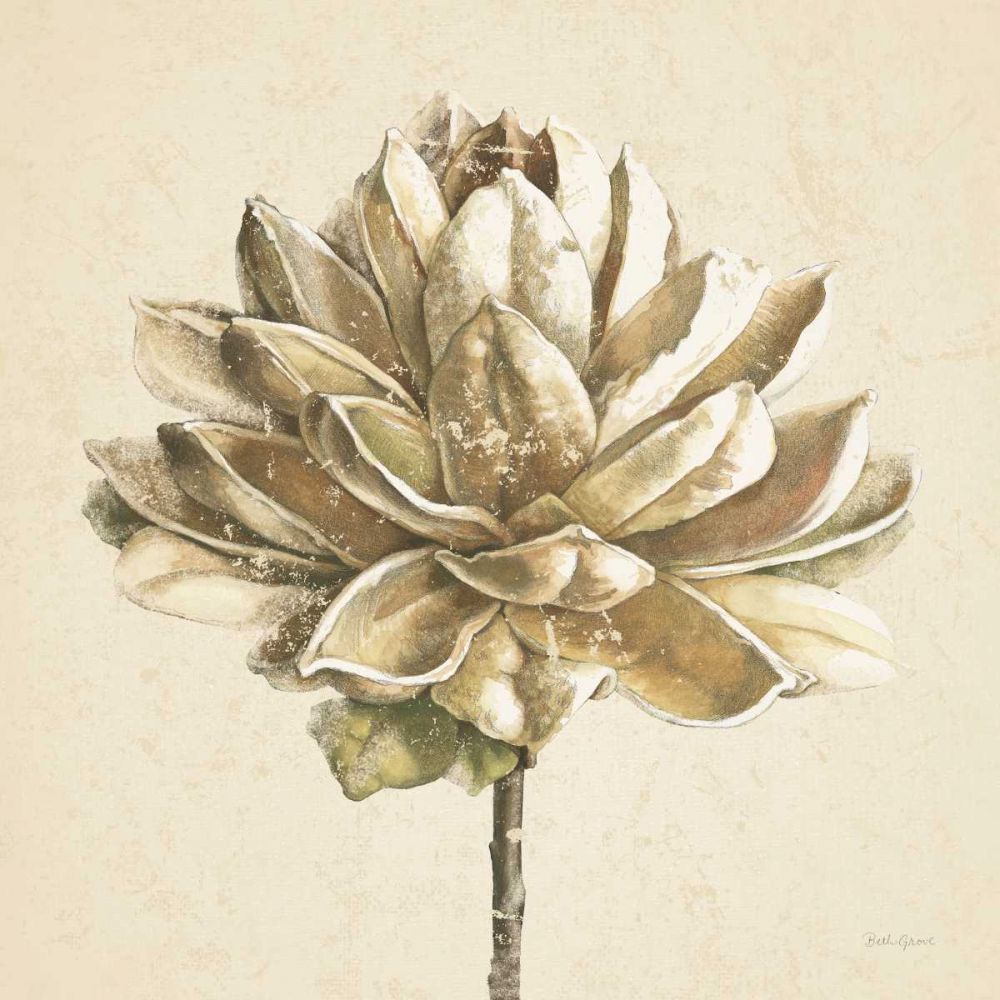Seed Pod I No Words Cream art print by Beth Grove for $57.95 CAD