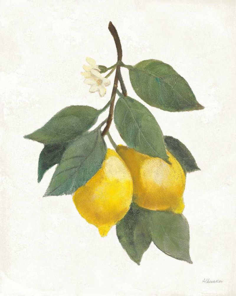 Lemon Branch II art print by Albena Hristova for $57.95 CAD