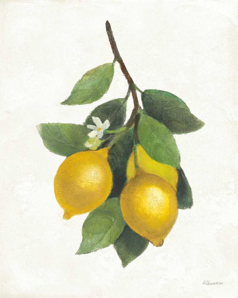 Lemon Branch III art print by Albena Hristova for $57.95 CAD