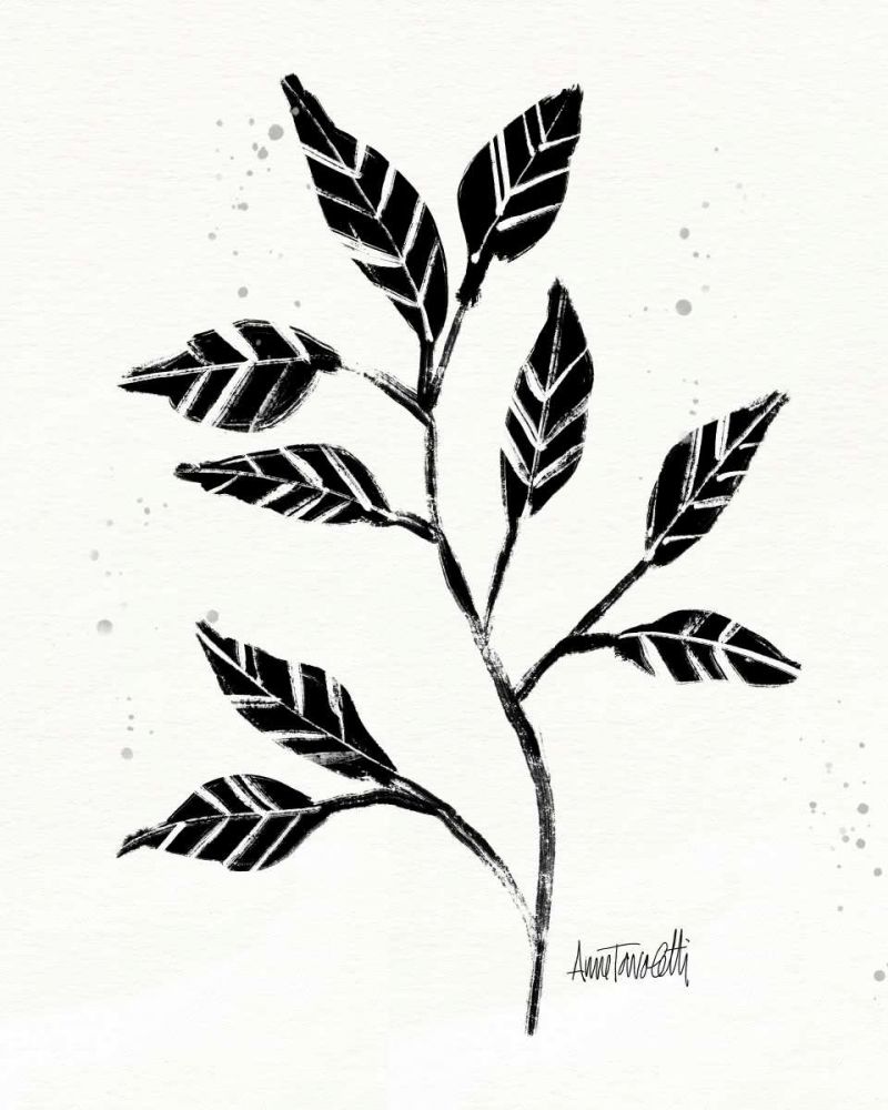 Botanical Sketches V art print by Anne Tavoletti for $57.95 CAD