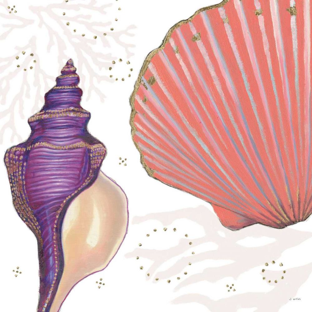 Shimmering Shells I art print by James Wiens for $57.95 CAD