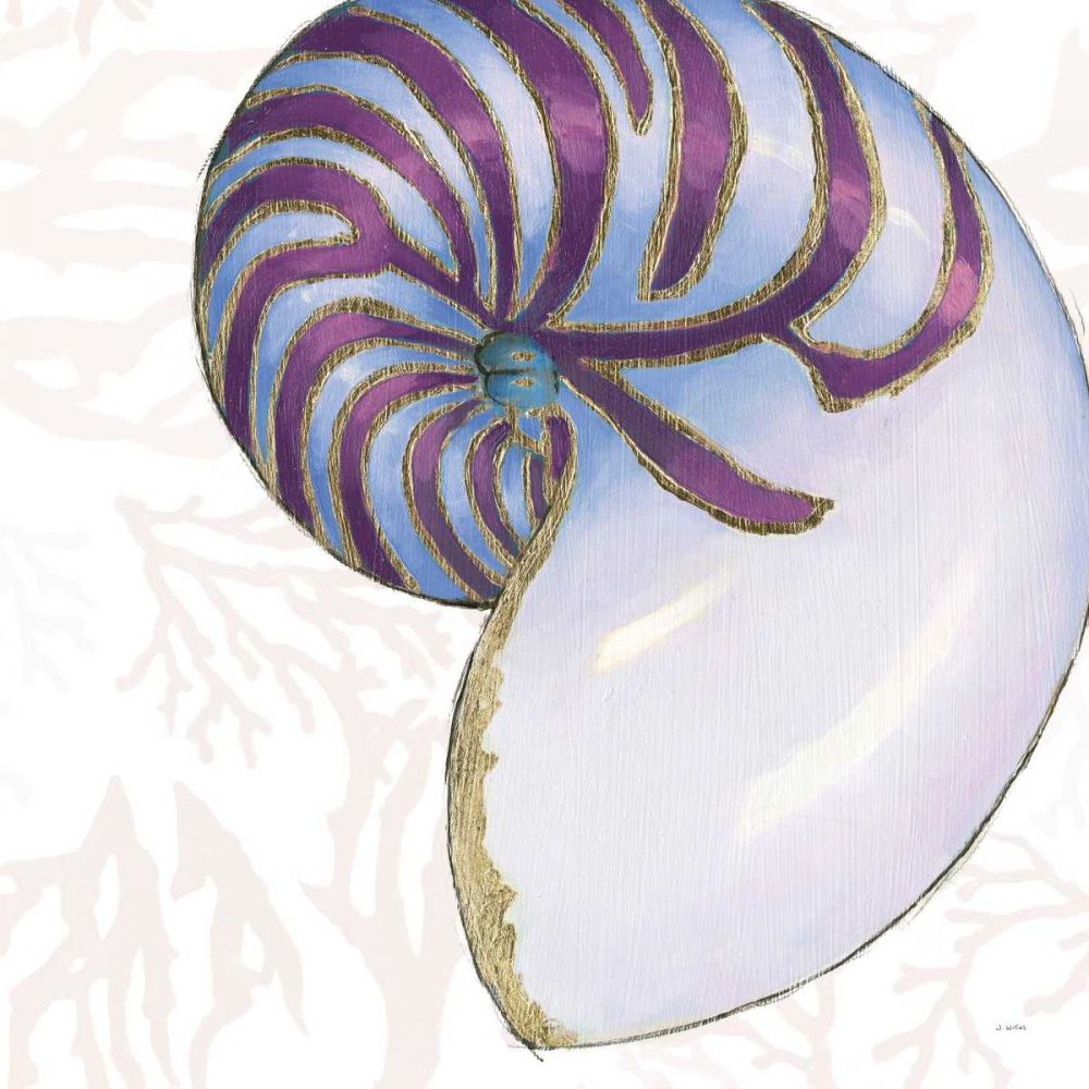 Shimmering Shells VI art print by James Wiens for $57.95 CAD