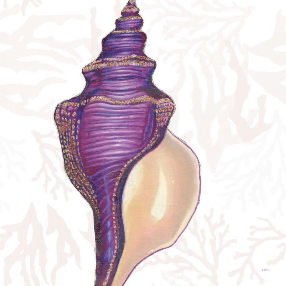Shimmering Shells IX art print by James Wiens for $57.95 CAD