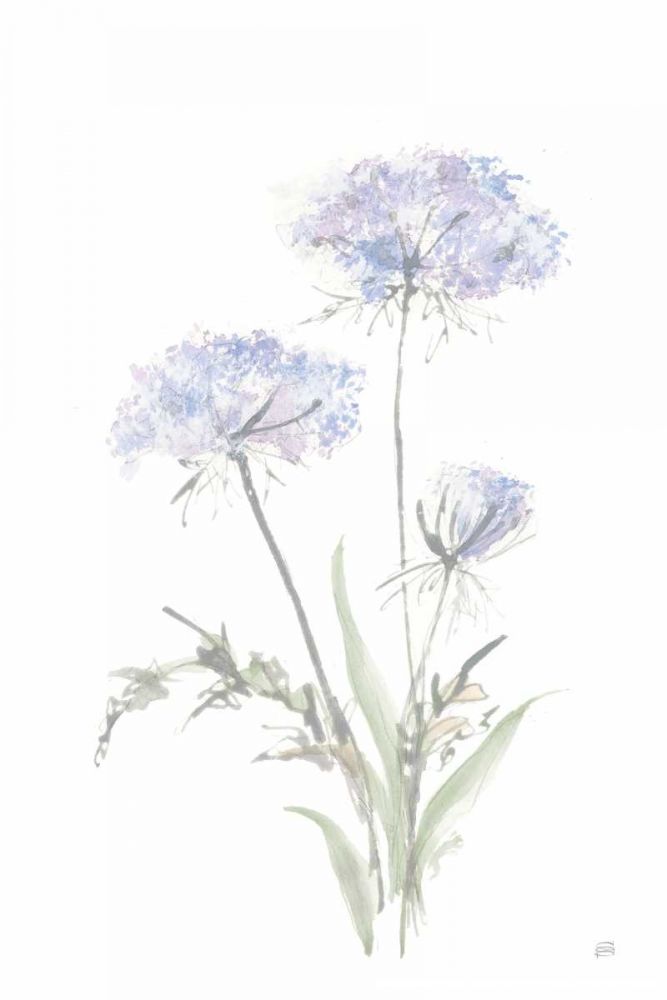Tall Queen Annes Lace I art print by Chris Paschke for $57.95 CAD