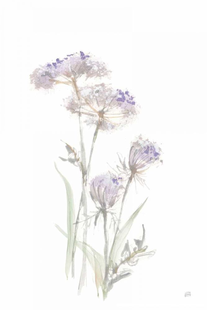 Tall Queen Annes Lace II art print by Chris Paschke for $57.95 CAD