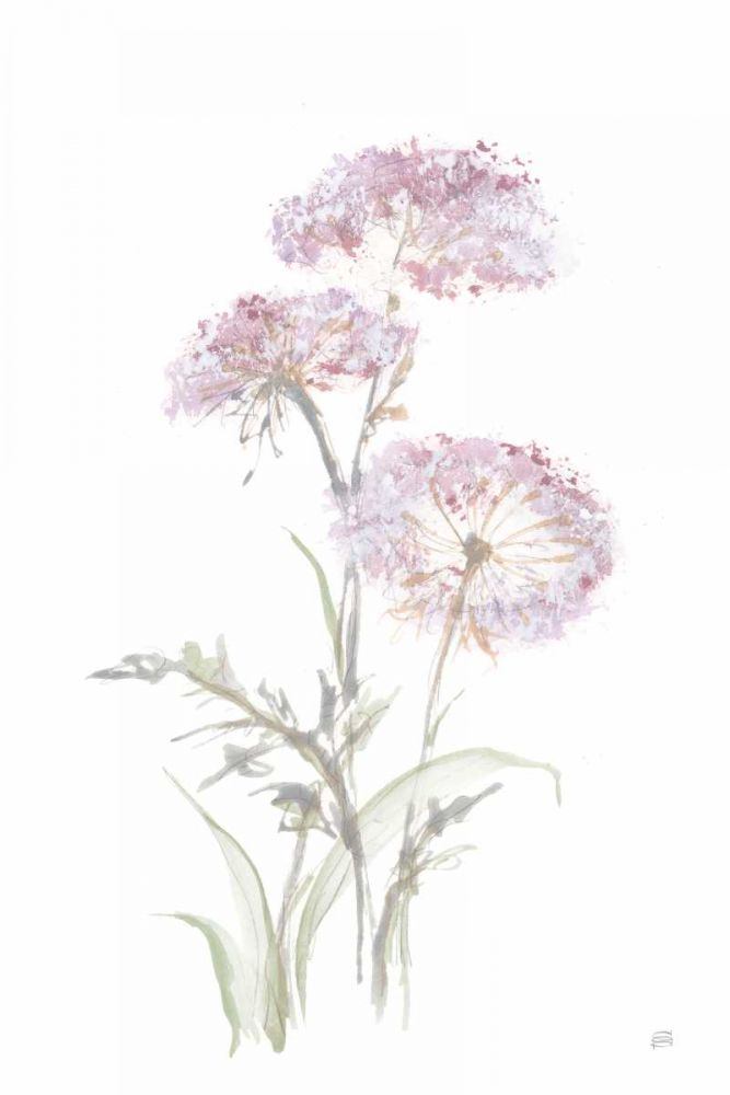 Tall Queen Annes Lace III art print by Chris Paschke for $57.95 CAD