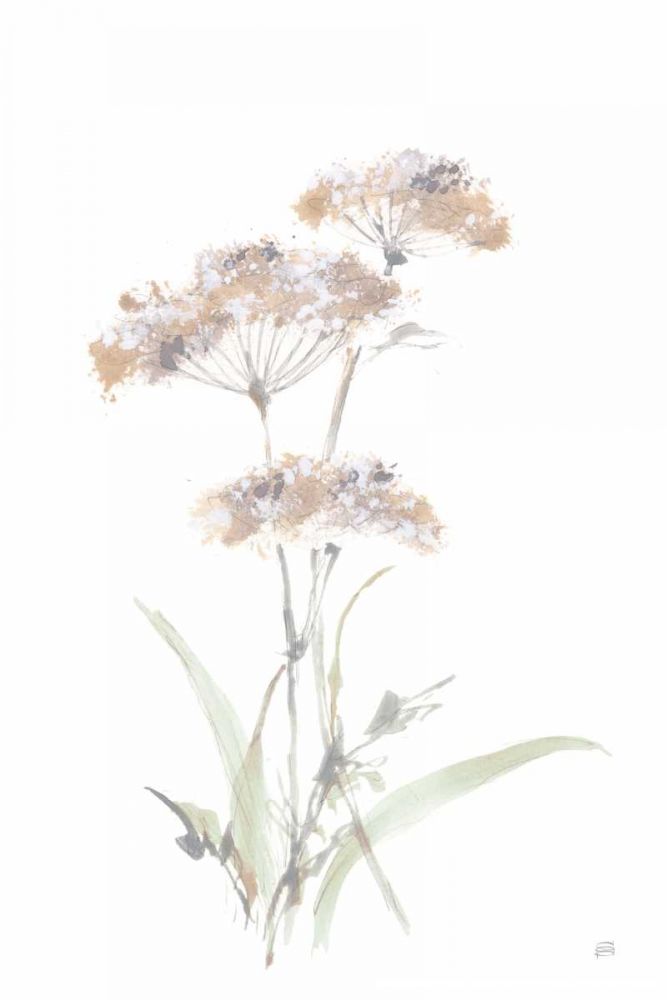 Tall Queen Annes Lace IV art print by Chris Paschke for $57.95 CAD