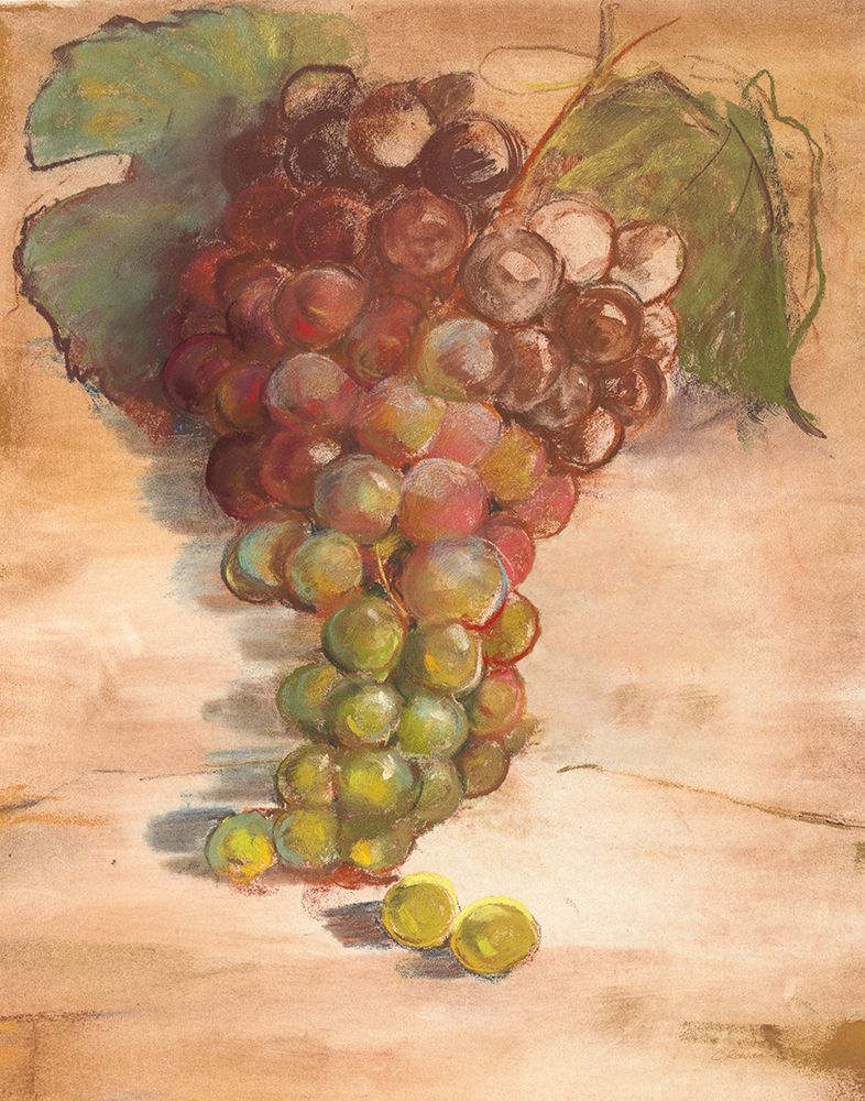 Grape Harvest II No Label art print by Carol Rowan for $57.95 CAD