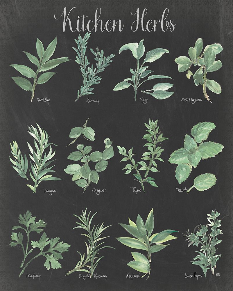 Kitchen Herb Chart on Black II art print by Chris Paschke for $57.95 CAD