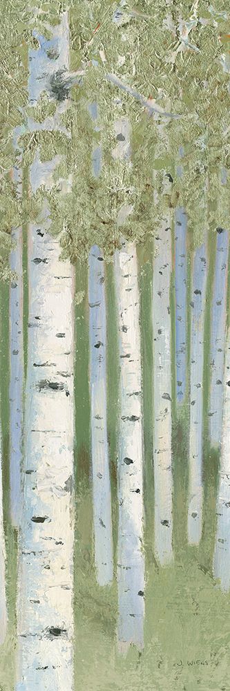 Green Forest II art print by James Wiens for $57.95 CAD