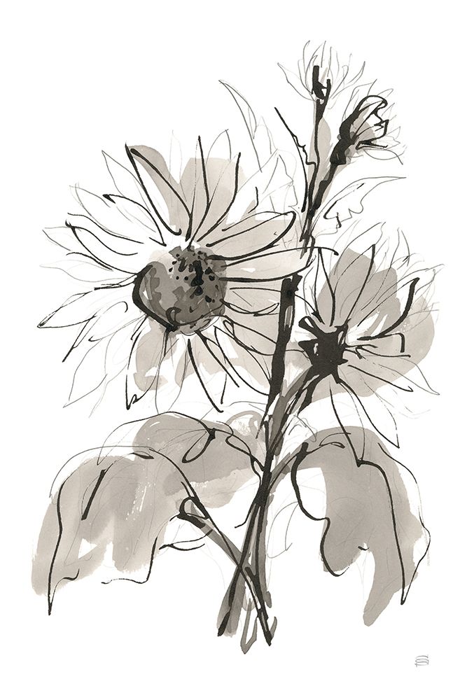 Ink Sunflower I art print by Chris Paschke for $57.95 CAD