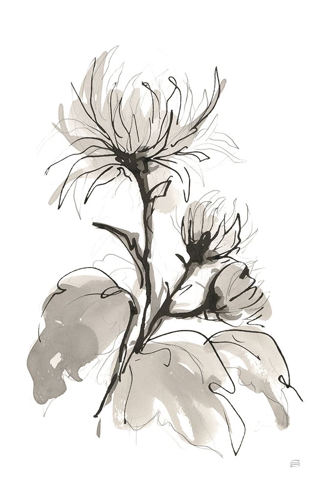 Chrysanthemum I art print by Chris Paschke for $57.95 CAD
