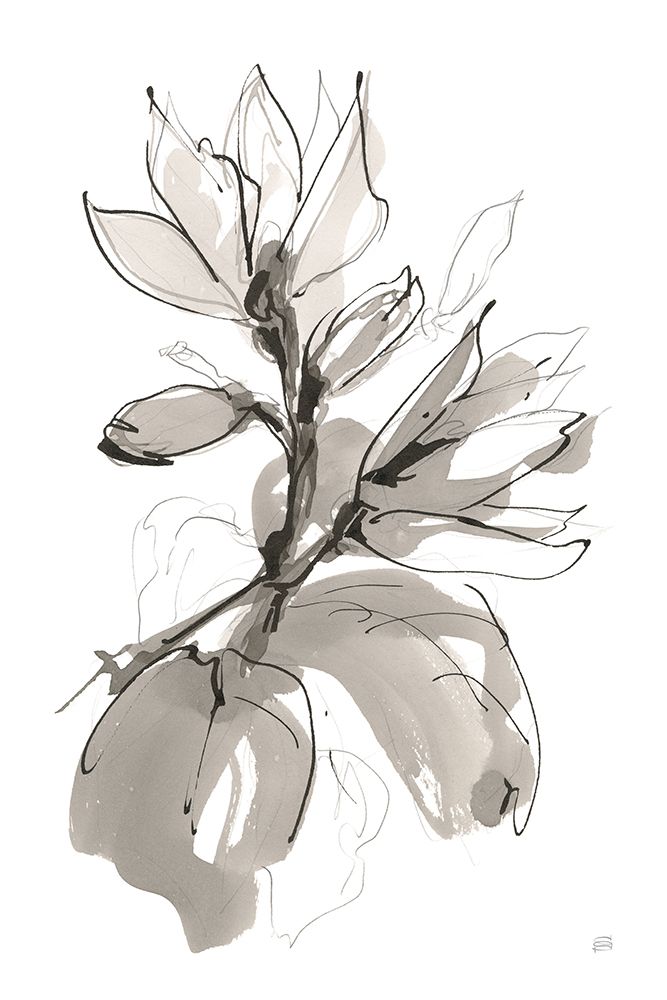 Magnolia I art print by Chris Paschke for $57.95 CAD