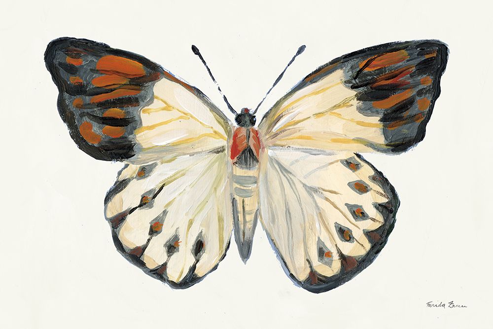 Butterfly Study I art print by Farida Zaman for $57.95 CAD