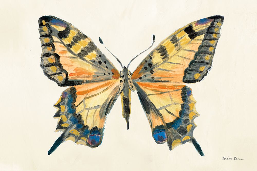Butterfly Study II art print by Farida Zaman for $57.95 CAD