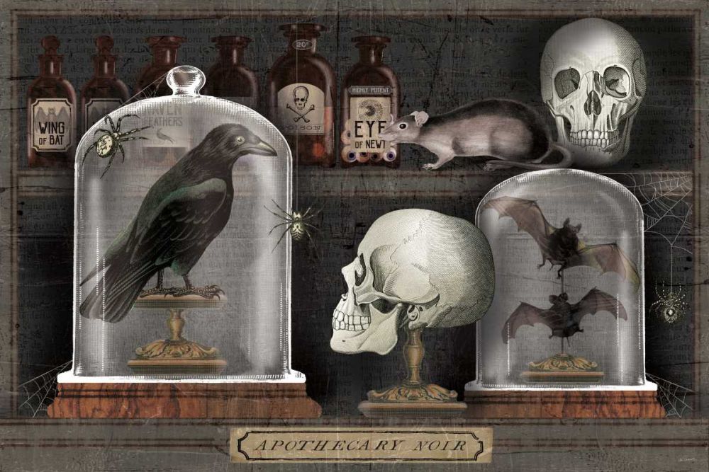 Apothecary Noir V art print by Sue Schlabach for $57.95 CAD