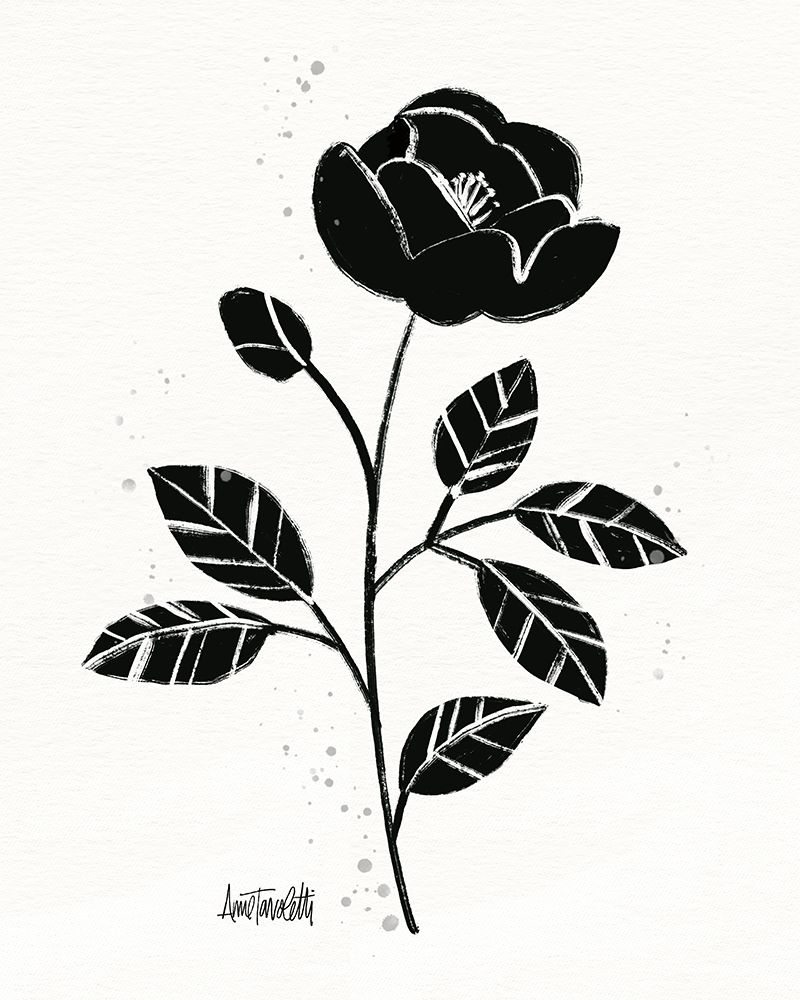 Bold Blooms II art print by Anne Tavoletti for $57.95 CAD