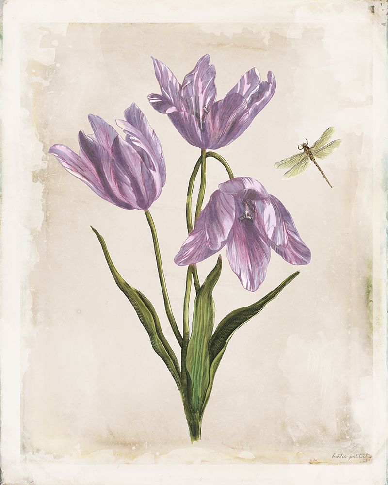 Antiquarian Blooms III Purple art print by Katie Pertiet for $57.95 CAD