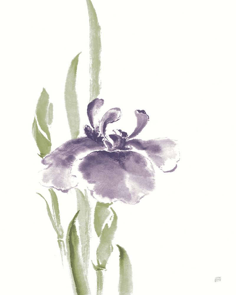 Japanese Iris II Purple Crop art print by Chris Paschke for $57.95 CAD