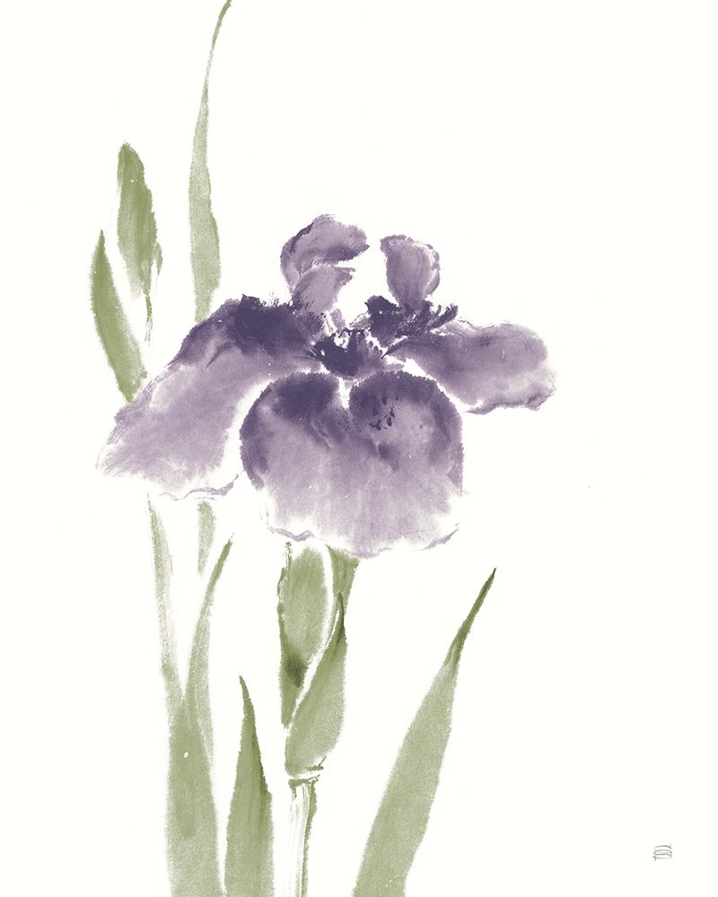 Japanese Iris III Purple Crop art print by Chris Paschke for $57.95 CAD