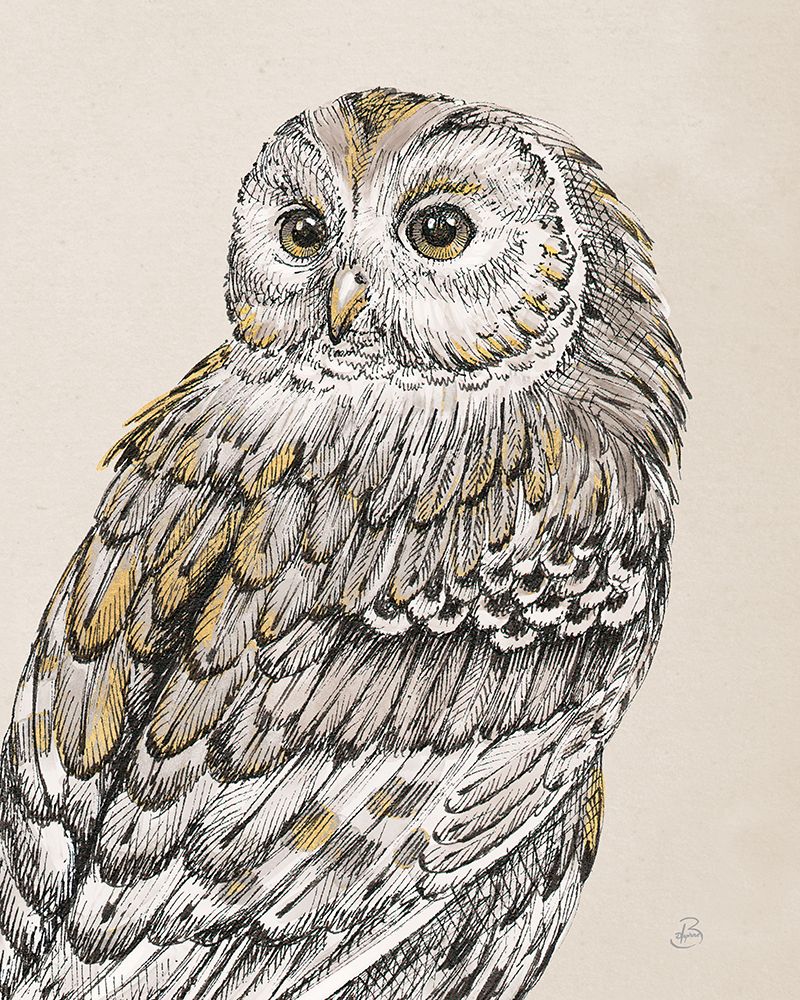 Beautiful Owls III Vintage art print by Daphne Brissonnet for $57.95 CAD