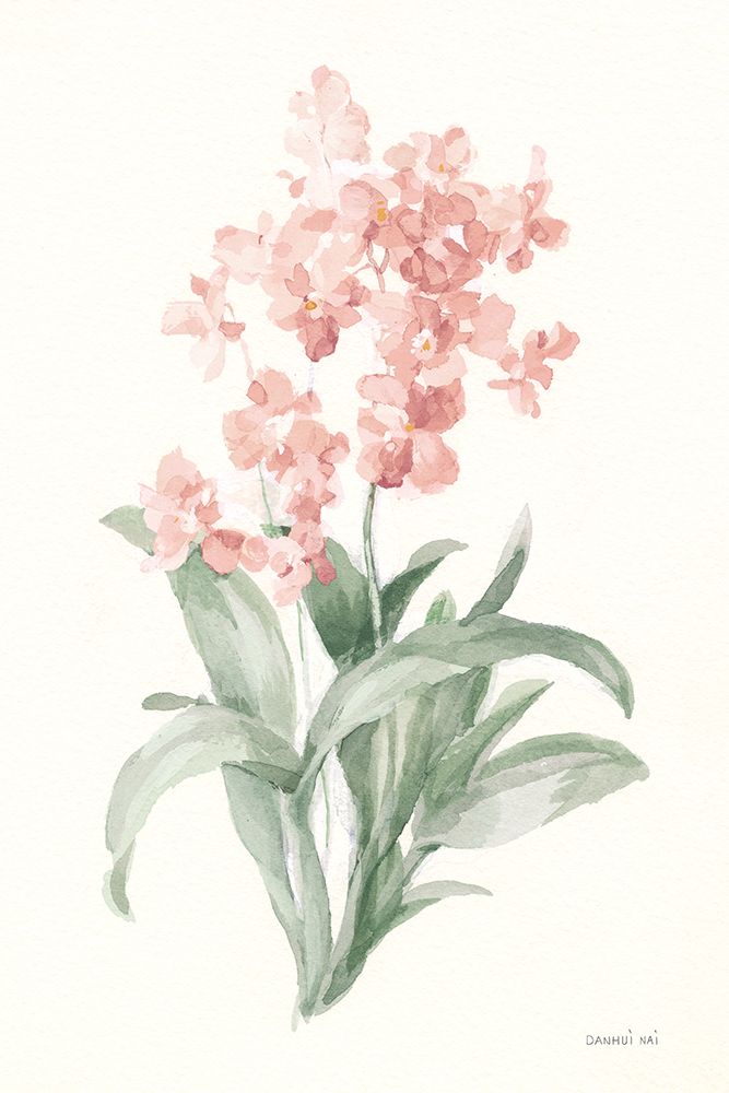 Spring Orchid I art print by Danhui Nai for $57.95 CAD