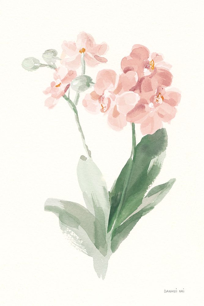 Spring Orchid II art print by Danhui Nai for $57.95 CAD