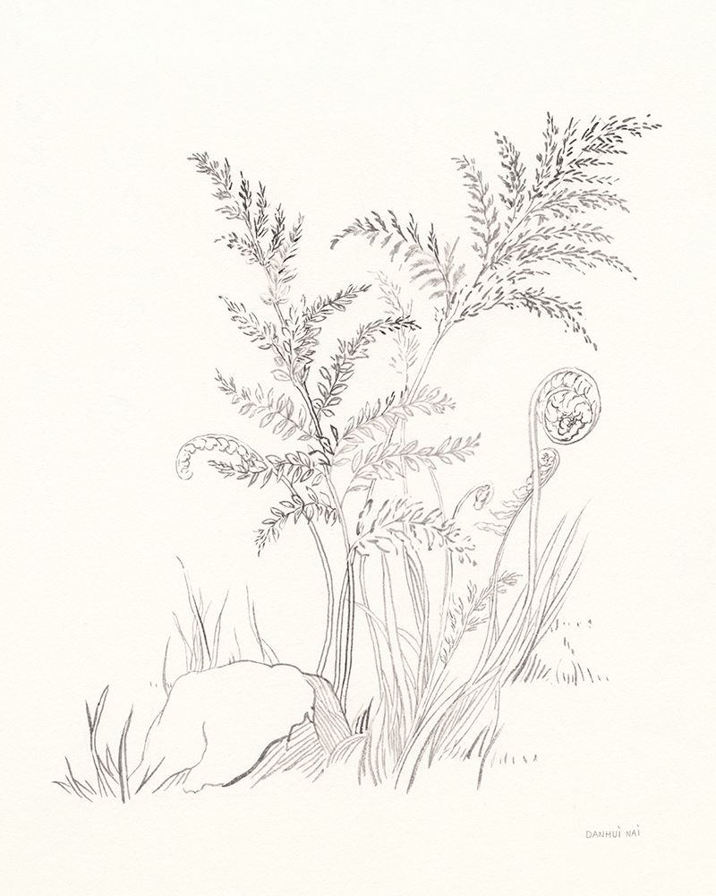 Nature Sketchbook VI art print by Danhui Nai for $57.95 CAD