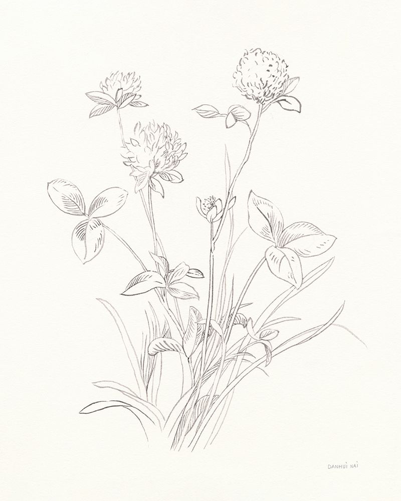 Nature Sketchbook VIII art print by Danhui Nai for $57.95 CAD