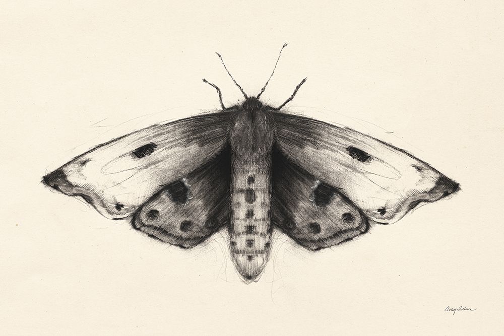 Moth I art print by Avery Tillmon for $57.95 CAD