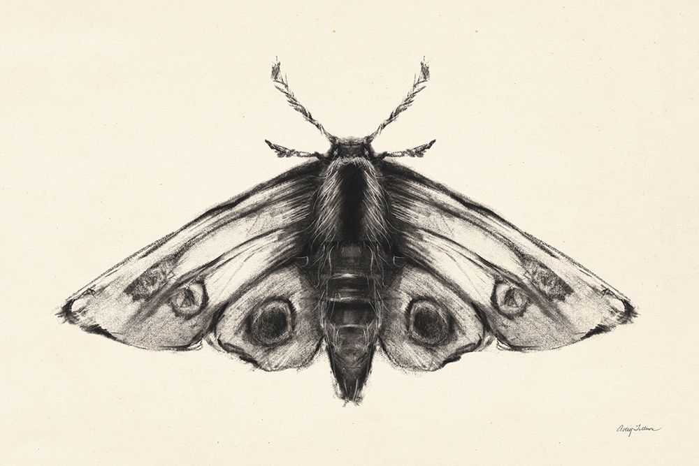 Moth II art print by Avery Tillmon for $57.95 CAD