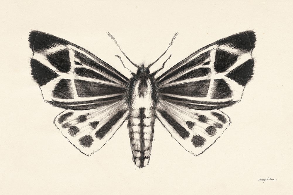 Moth III art print by Avery Tillmon for $57.95 CAD