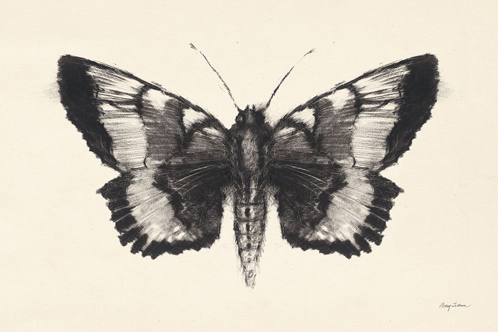 Moth V art print by Avery Tillmon for $57.95 CAD