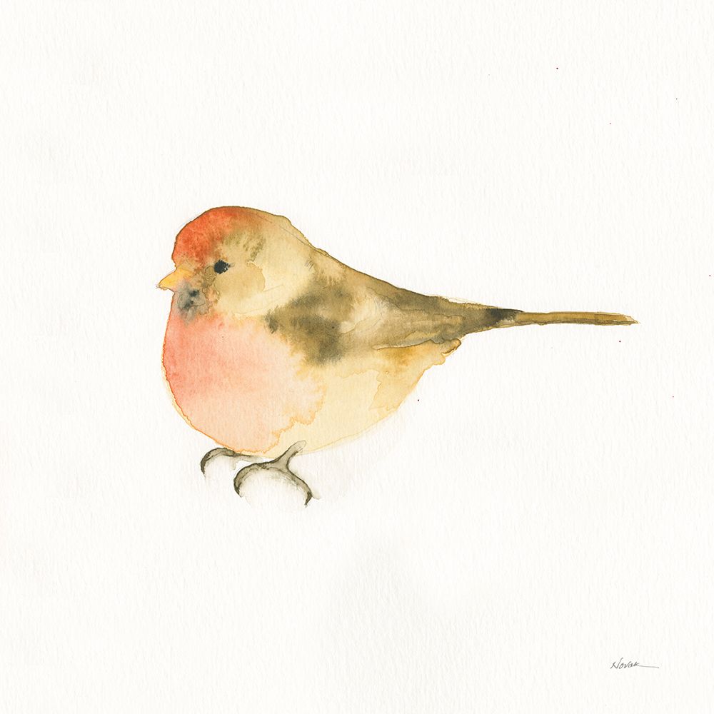 Watercolor Birds III art print by Shirley Novak for $57.95 CAD