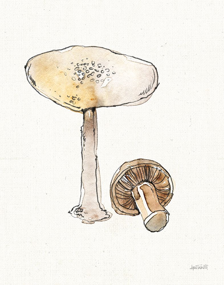 Fresh Farmhouse Mushrooms IV art print by Anne Tavoletti for $57.95 CAD