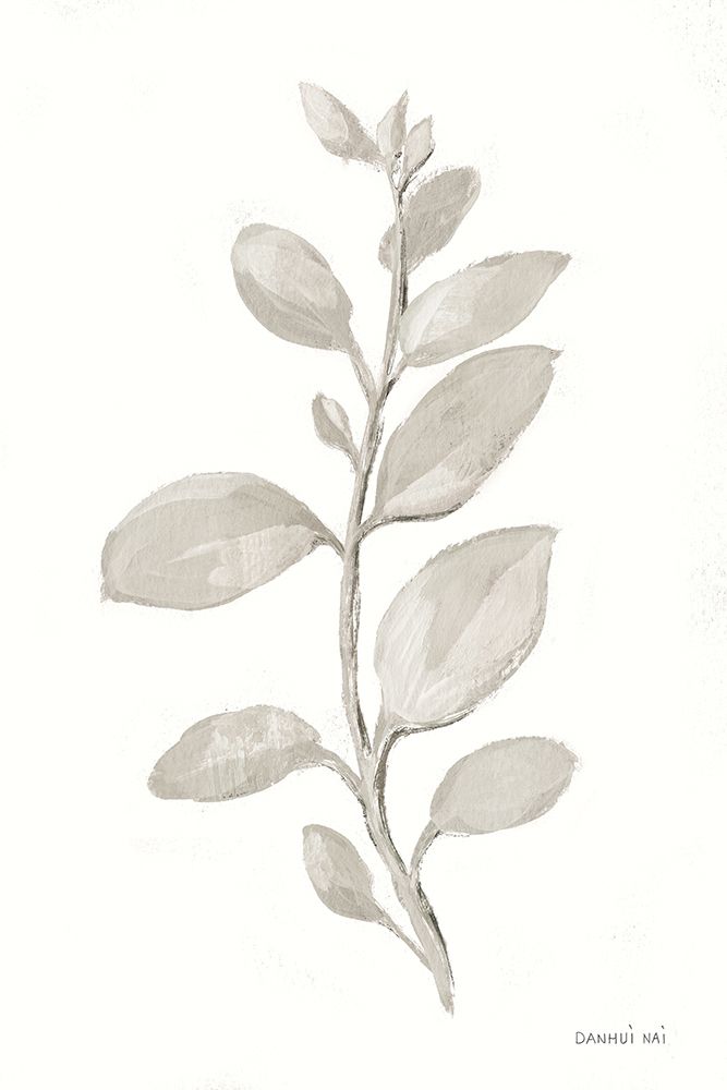 Gray Sage Leaves II on White art print by Danhui Nai for $57.95 CAD