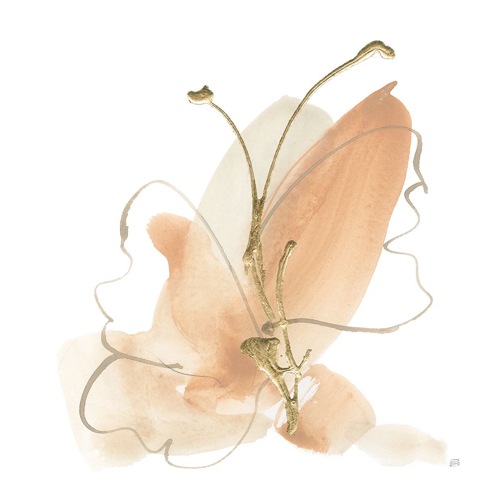 Butterfly Flower II art print by Chris Paschke for $57.95 CAD