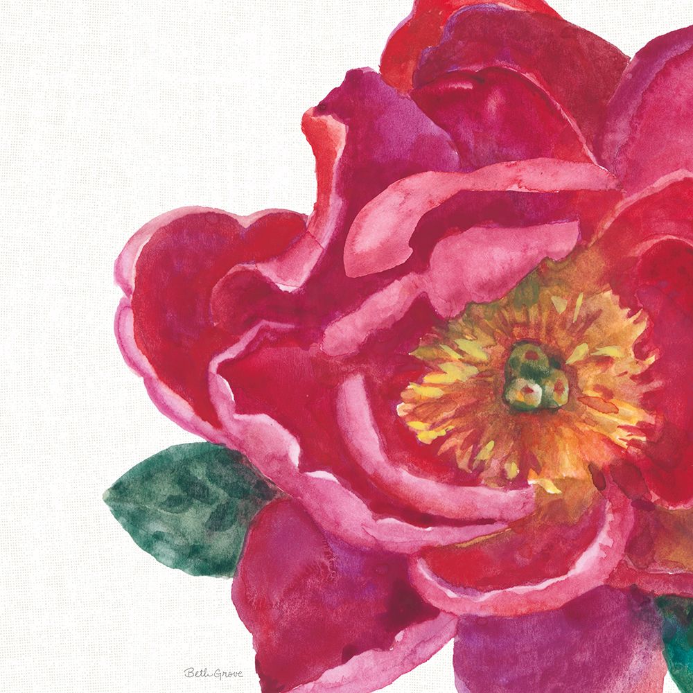 Floral Drama IX art print by Beth Grove for $57.95 CAD