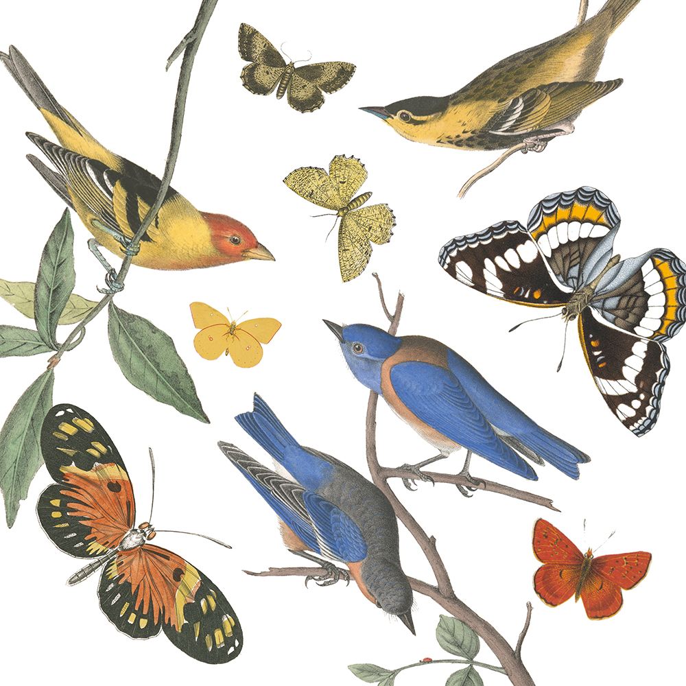 Natures Flight I No Ferns art print by Wild Apple Portfolio for $57.95 CAD