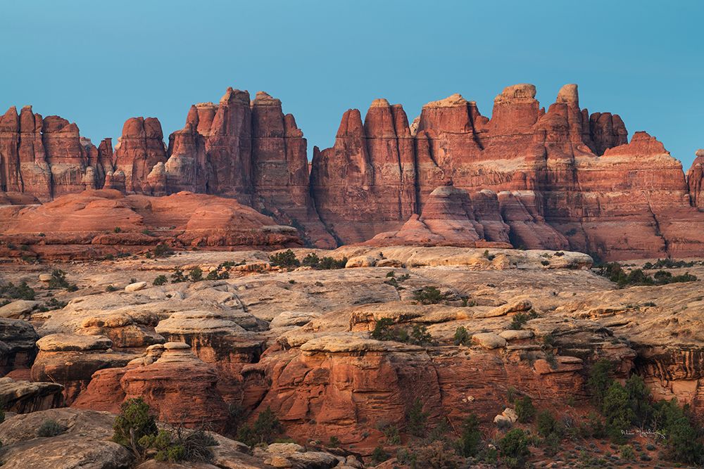 The Needles Canyonlands National Park art print by Alan Majchrowicz for $57.95 CAD