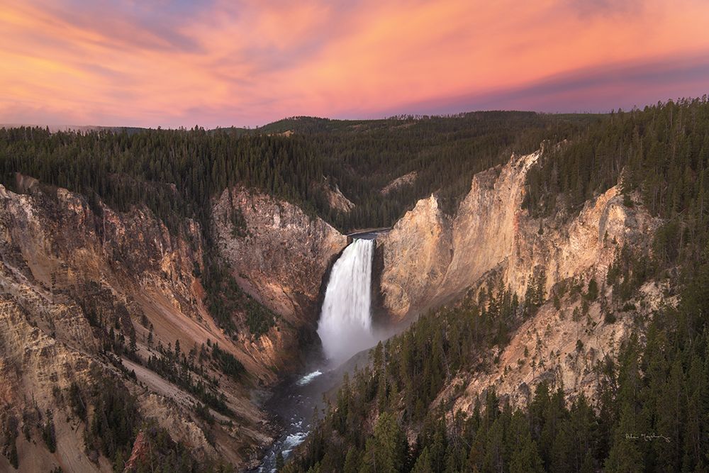 Lower Falls of the Yellowstone River I art print by Alan Majchrowicz for $57.95 CAD
