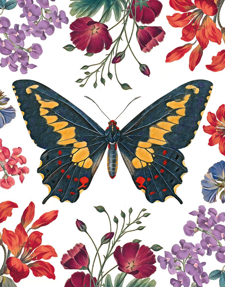 Butterfly Garden III art print by Wild Apple Portfolio for $57.95 CAD