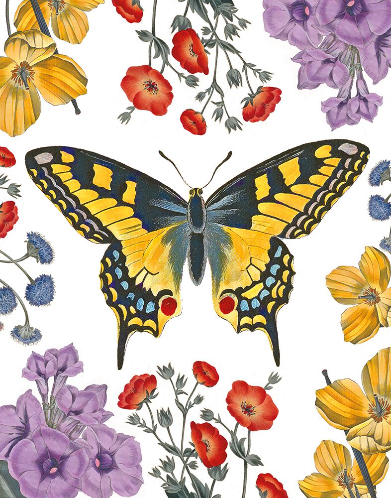 Butterfly Garden IV art print by Wild Apple Portfolio for $57.95 CAD
