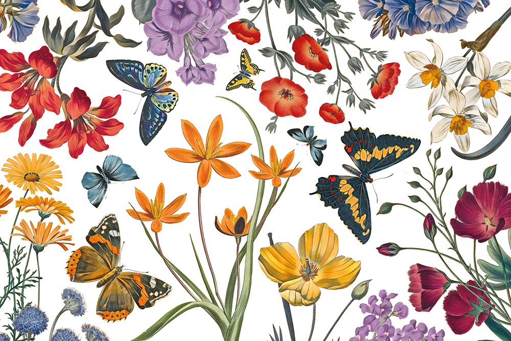 Butterfly Garden VI art print by Wild Apple Portfolio for $57.95 CAD