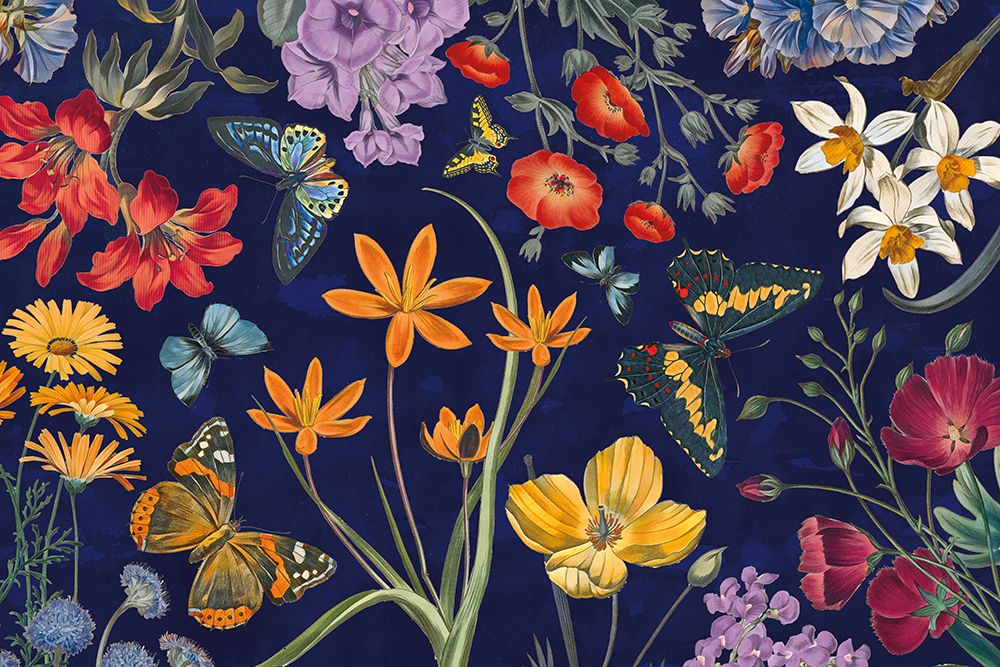 Butterfly Garden VI Dark art print by Wild Apple Portfolio for $57.95 CAD