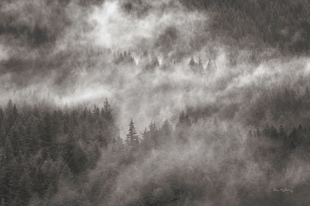 Misty Mountains North Cascades art print by Alan Majchrowicz for $57.95 CAD